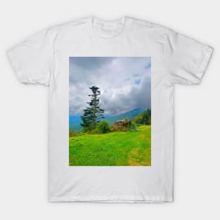 Tree and Rock on the Blue Ridge Parkway T-Shirt